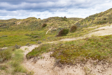 Fototapeta na wymiar Landscape Nationaal Park Hollandse Duinen with dunes under a clouded sky
