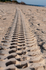 Tire marks on the sand