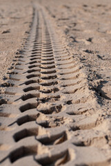 Tire marks on the sand