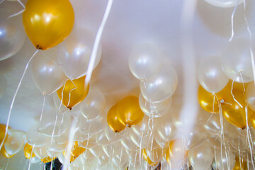 A group of rising helium balloons in white and gold color on a ceiling of an apartment as decorative elements at a party