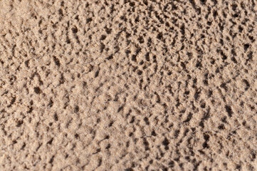 Natural Sand Untouchable Texture
