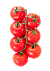 Chili tomatoes on white background, close up