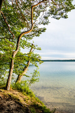 Stechlinsee (Lake Stechlin), Brandenburg, Germany