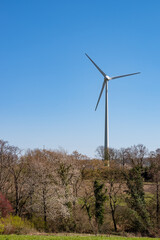 Wind turbine against blue sky, blooming wild cherry tree and and fields in foreground