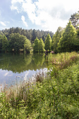 Obraz premium Calabria, lago di Mongiana