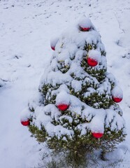 Close-up view of a Christmas tree covered in snow with toys. Christmas holiday concept. Postcard. Beautiful backgrounds.
