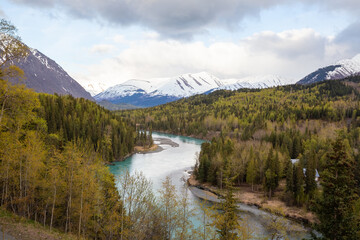 Beautiful shot of Kenai river, fir trees, meadow, and high mountains in Alaska. Cloudy day in springtime.