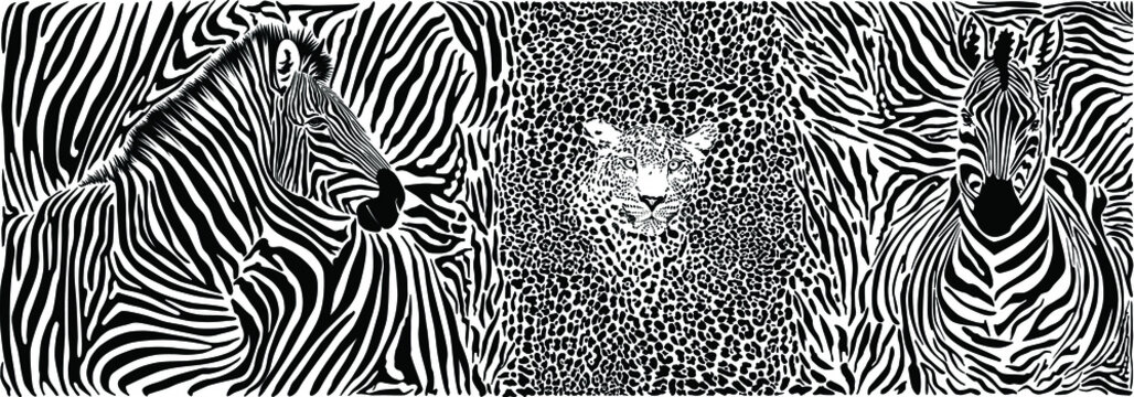 Wild animal background - template with motif zebras and leopard