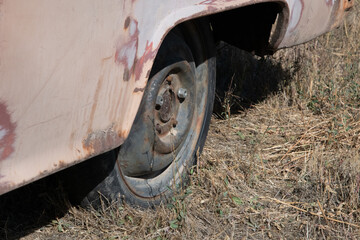 tire in field