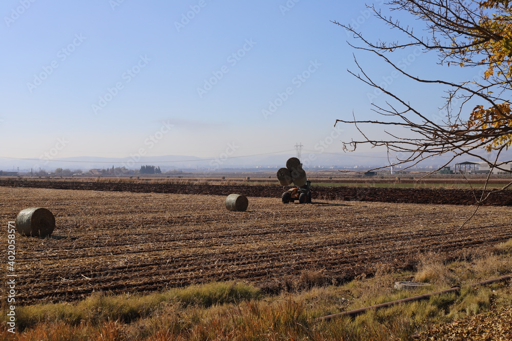 Sticker sheep in the field