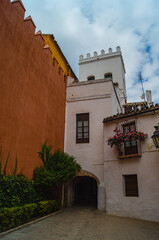 Colorful facades house of the old city center of Seville