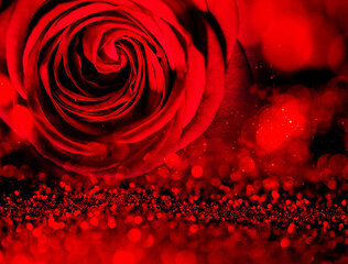 red rose close up and bokeh lights Valentine's background