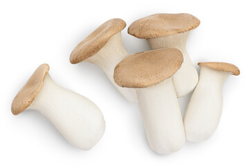 Fototapeta na wymiar King Oyster mushroom or Eringi isolated on white background with clipping path. Top view. Flat lay