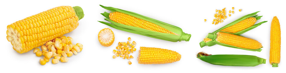 ear of corn isolated on a white background. Clipping path and full depth of field. Set or collection