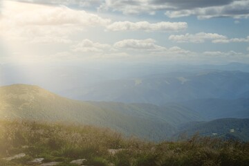 Fototapeta premium Carpathians mountain range at summer morning. Beauty of wild virgin Ukrainian nature. Peacefulness.