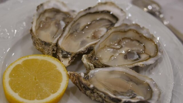 Oysters on ice with lemon closeup. Fresh Oyster on half shell on big plate in restaurant. Healthy Seafood Dinner. High Protein Food. Fresh Raw Oysters in Half Shells with Lemon. beautiful serving