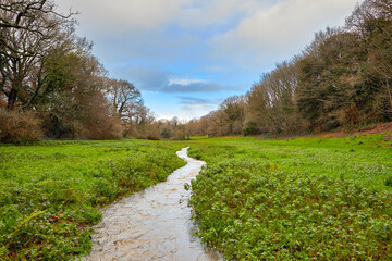 Green meadow with stream with trees on a winters day with some cloud.