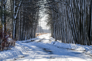 Fototapety na wymiar - Fototapeta24.pl