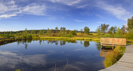 Pernink peat bog, Albertamy, Ore Mountains, Czech Republic