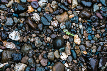 stones on the beach texture
