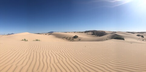 sand dunes in park