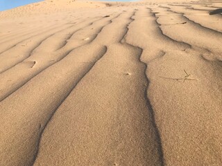 sand dunes on the beach
