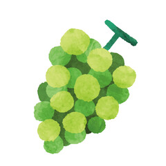 水彩風 マスカットのイラスト素材