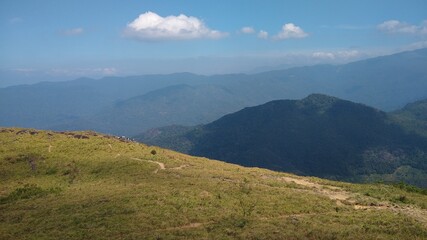 Obraz premium Beautiful grassland, Ponmudi hill station Thiruvananthapuram, Kerala landscape view