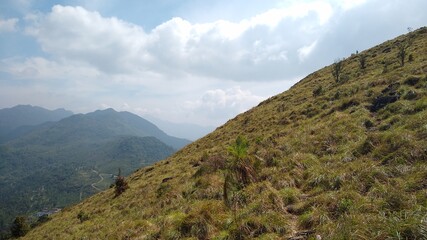 Beautiful grassland, Ponmudi hill station Thiruvananthapuram, Kerala landscape view