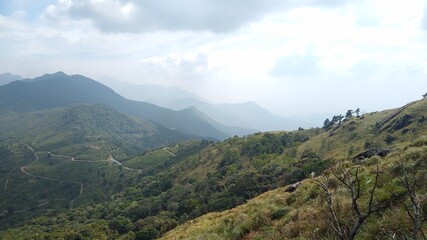 Obraz premium Beautiful grassland, Ponmudi hill station Thiruvananthapuram, Kerala landscape view