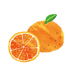 水彩風  みかんのイラスト素材