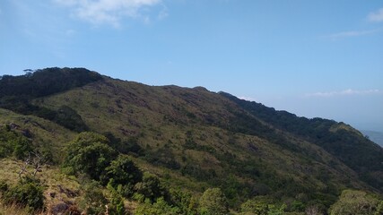 Fototapeta na wymiar Beautiful grassland, Ponmudi hill station Thiruvananthapuram, Kerala landscape view