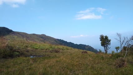 Beautiful grassland, Ponmudi hill station Thiruvananthapuram, Kerala landscape view