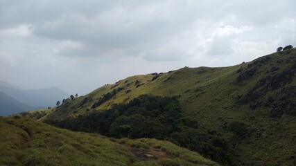 Fototapeta premium Beautiful grassland, Ponmudi hill station Thiruvananthapuram, Kerala landscape view