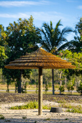 Tropical palm frond umbrella tahiti style