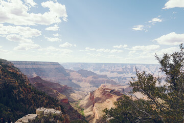 Grand Canyon nature footage in Arizona USA shot during the semmer