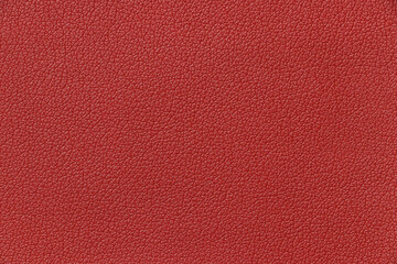 Dark red genuine leather. Texture and close-up.