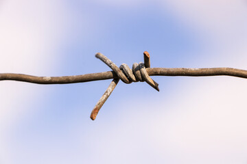Barbed wire. Close-up.