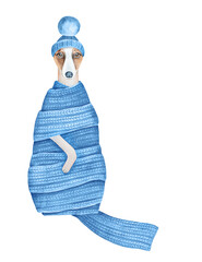 Watercolor illustration of cute dog wearing blue warm knitted scarf and cosy beanie cap with pompom. Hand drawn watercolour graphic painting on white background, isolated element for creative design.