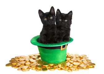 Two black kittens in a Saint Patrick's Day themed green top hat with  laying on a bed of gold coins...