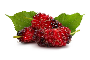 Organic mulberry fruits with green leaves isolated on white background.