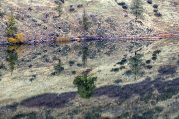 Hillside reflected in the Iron Gate Dam Reservoir near Hornbrook, California, USA