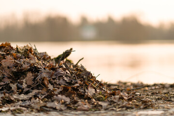 Herbst