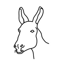 Fototapeta na wymiar Animal donkey icon design. Vector, clip art, illustration, line icon design style.