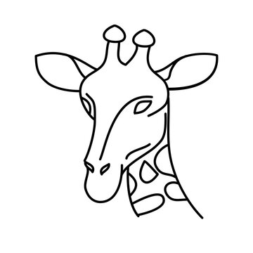 Animal giraffe icon design. Vector, clip art, illustration, line icon design style.