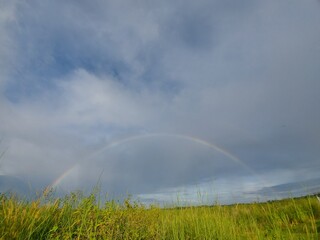 rainbow over field