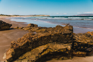 pristine wild landscape at Clifton Beach in Tasmania, Australia with wavy blue ocean and golden sand next to a rugged coastline