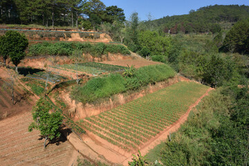 View of the surroundings of the city of Dalat