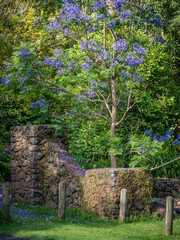 Jacaranda Fence vert