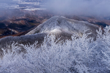 霧氷の赤城山スノーハイク